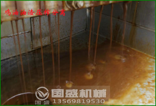 家禽废弃物压榨脱水 家禽废弃物压榨脱水